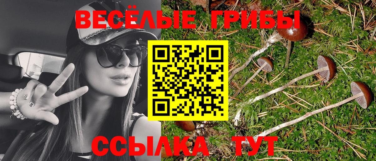 Галлюциногенные грибы Psilocybine cubensis  Псилоцибиновые грибы прущие грибы  Вход с VPN  Стерлитамак 