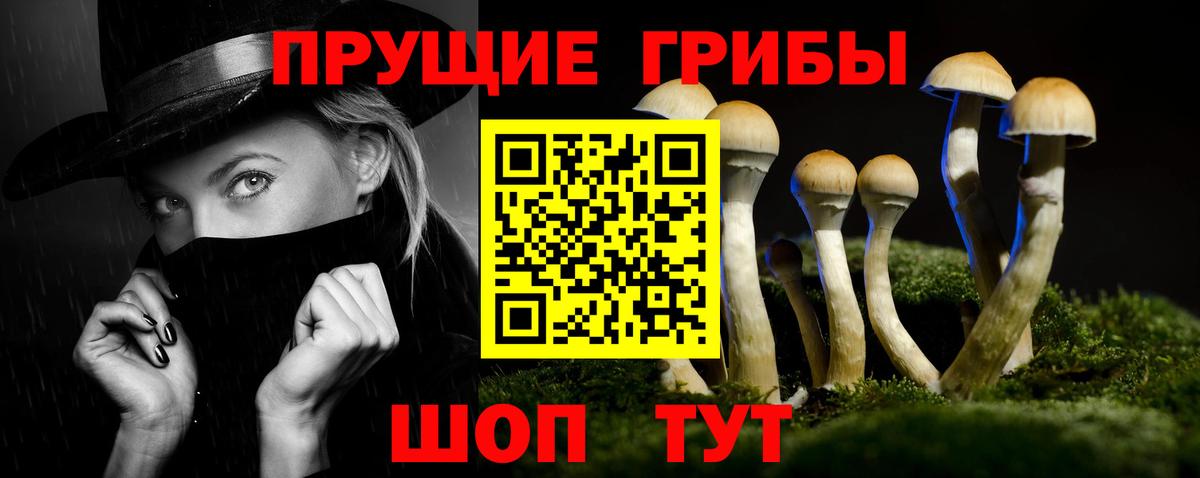Галлюциногенные грибы мухоморы Стерлитамак